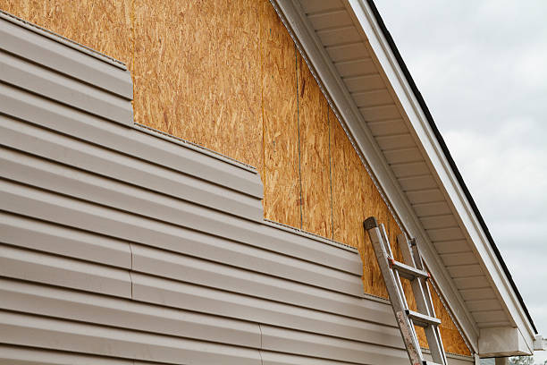 Professional Siding Repair technician working in Bellvue, CO